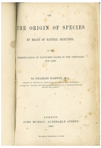 First Edition, First Printing of Charles Darwin's Masterpiece, ''On the Origin of Species'' -- ''The most important biological book ever written''